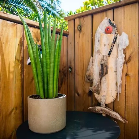 Le Murmure Du Palmier * A 2 Min * Parking Prive * Terrasse La Grande-Motte