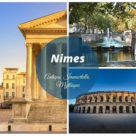 Le Murmure Du Palmier * A 2 Min * Parking Prive * Terrasse Apartmán *