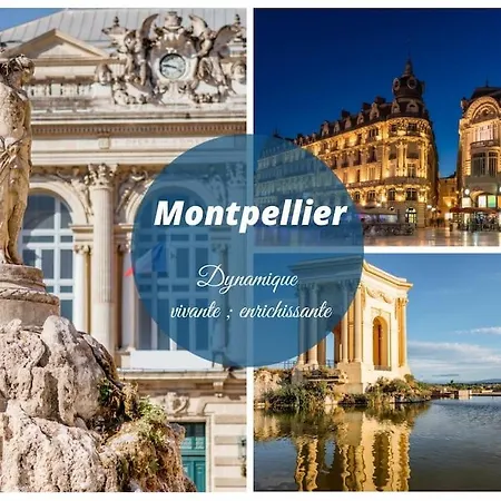 Le Murmure Du Palmier * A 2 Min * Parking Prive * Terrasse *