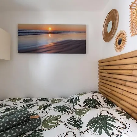 Le Murmure Du Palmier * A 2 Min * Parking Prive * Terrasse Apartmán *